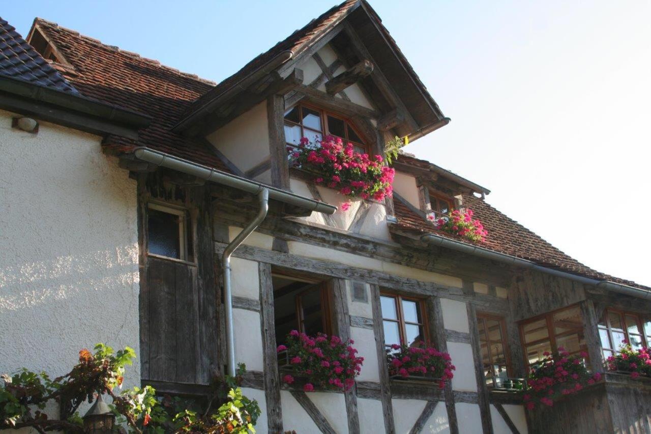 Hotel Gaestehaus Theresia Garni Muhlheim an der Donau Kültér fotó