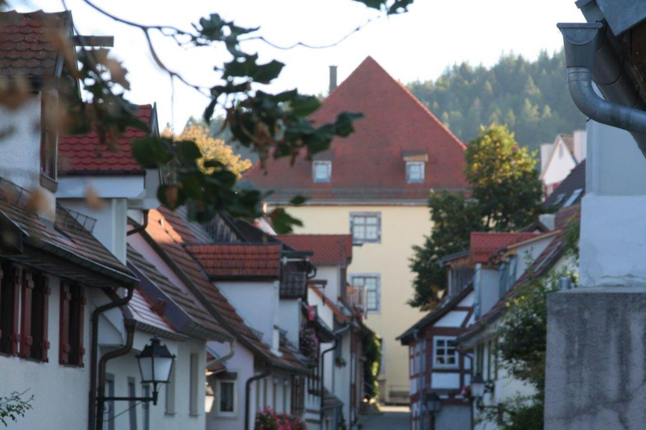 Hotel Gaestehaus Theresia Garni Muhlheim an der Donau Kültér fotó